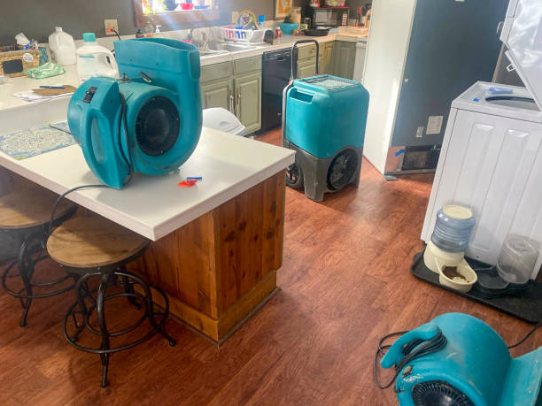 Best Water damage cleanup near me  in Avalon, CA