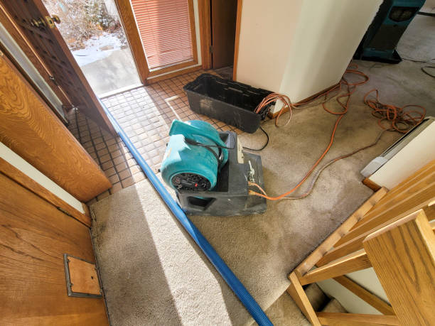 Carpet water damage restoration in CA