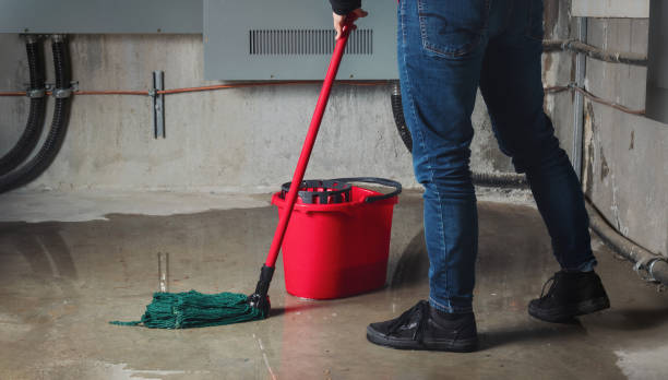 Best Water damage restoration process  in Avalon, CA