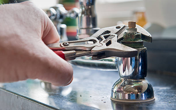Best Water damage cleanup near me  in Avalon, CA