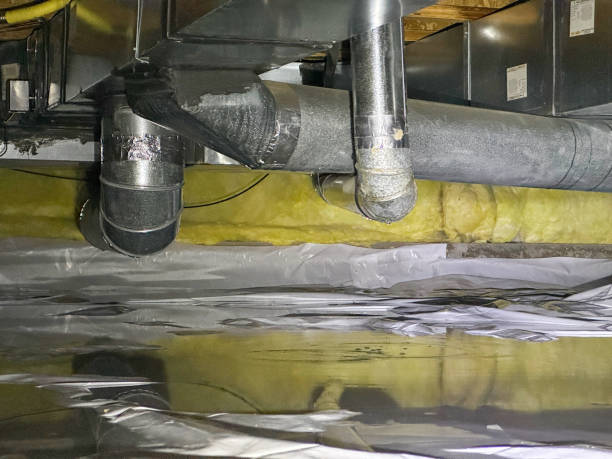 Best Professional water damage repair  in Avalon, CA