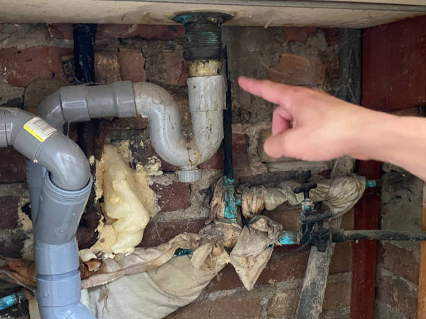 Best Local water damage restoration  in Avalon, CA