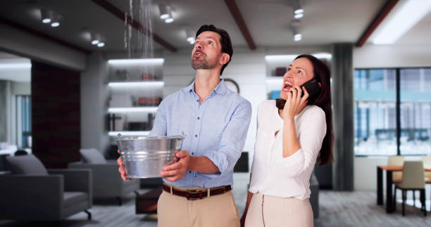 Best Flood restoration services  in Avalon, CA