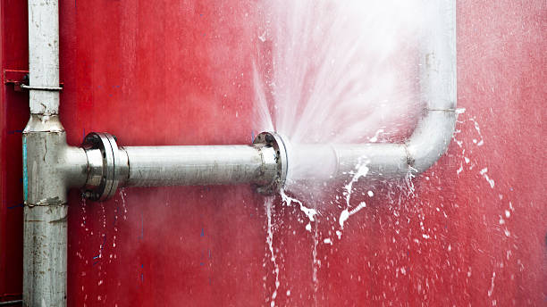 Best Basement water damage restoration  in Avalon, CA